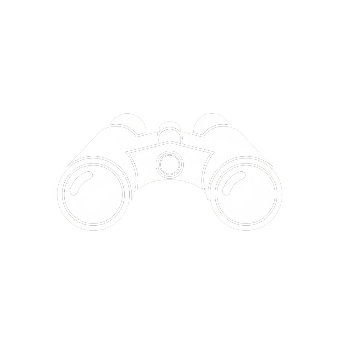 Vis-o.png
